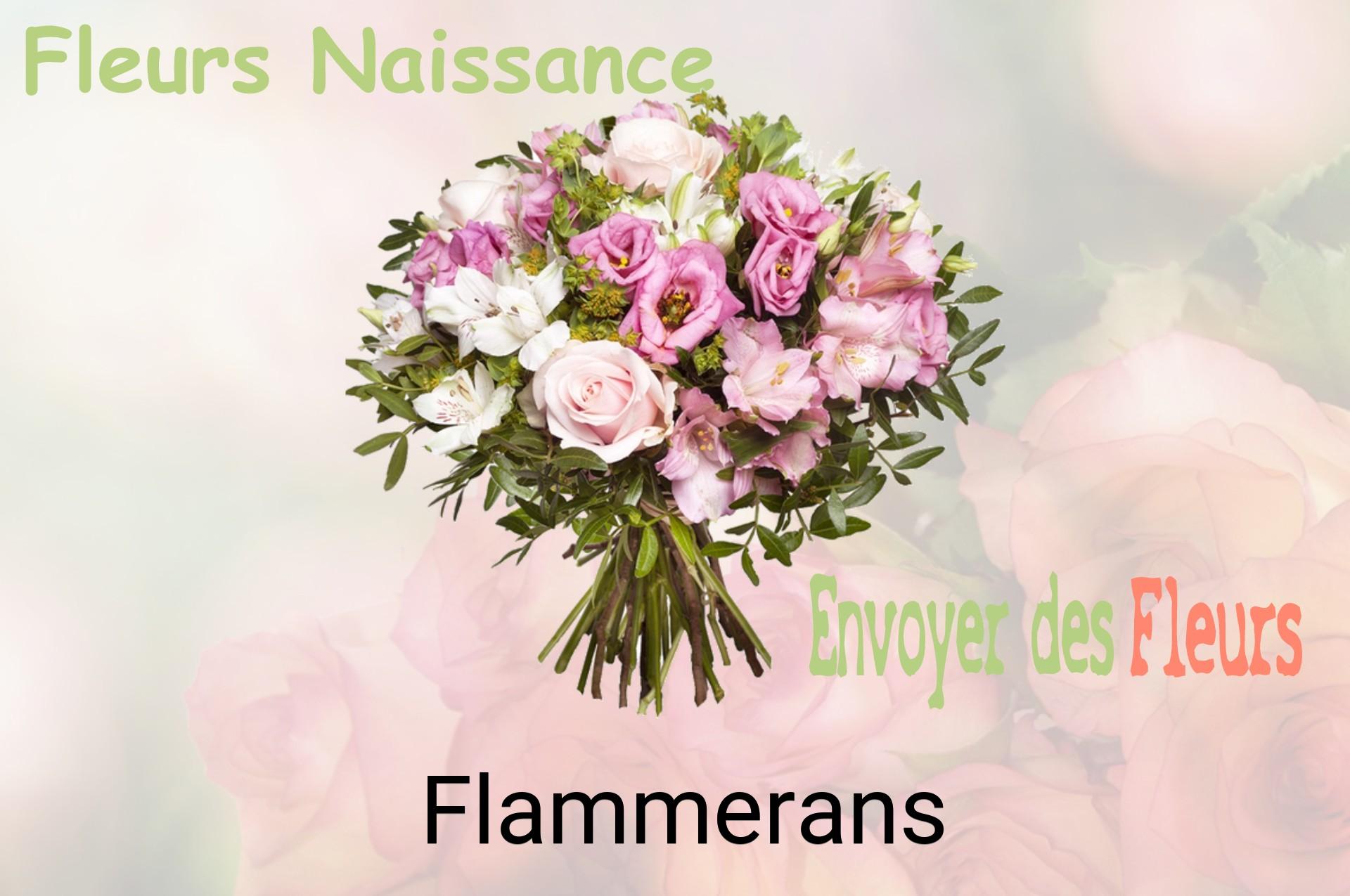 Bouquet de fleurs de naissance livré à Flammerans